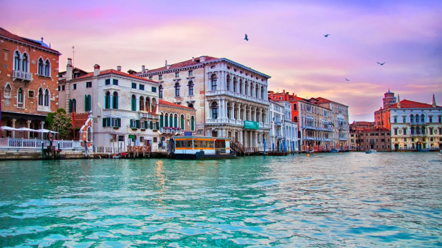 River bus city sky bird free wallpaper for desktop - medium preview image