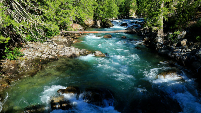 River forest bridge nature landscape free wallpaper for desktop - medium preview image