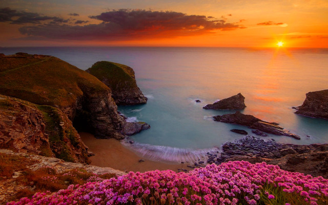 Sunset rocky beach pink flowers free wallpaper for desktop - medium preview image