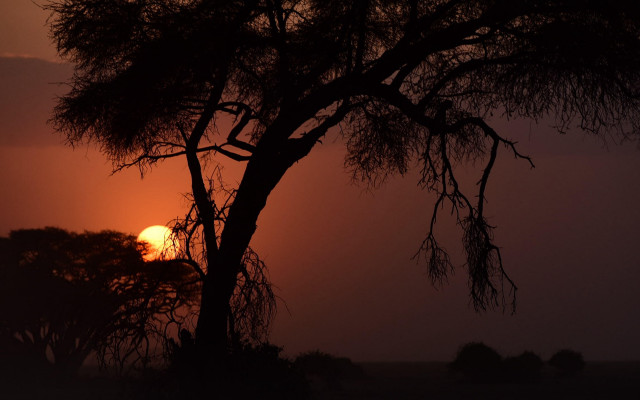 Sunset mountain lake bamboo tree free wallpaper for desktop - medium preview image