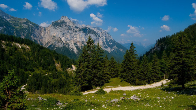 Lush forest hillside mountain clouds free wallpaper for desktop - medium preview image