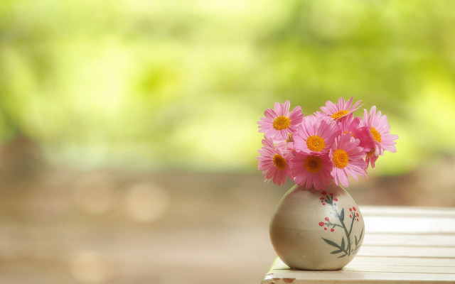 Vase pink flowers table window free wallpaper for desktop - medium preview image