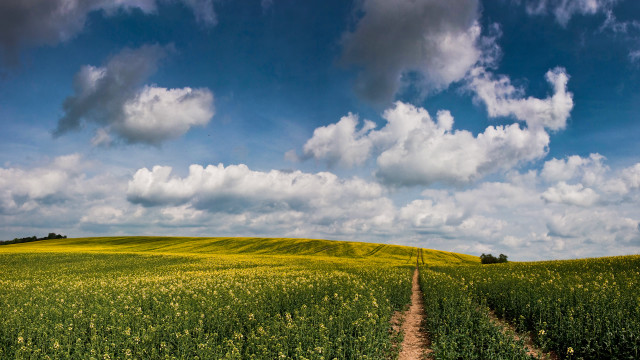 Dirt road green field cloudy #5 free wallpaper for desktop - medium preview image