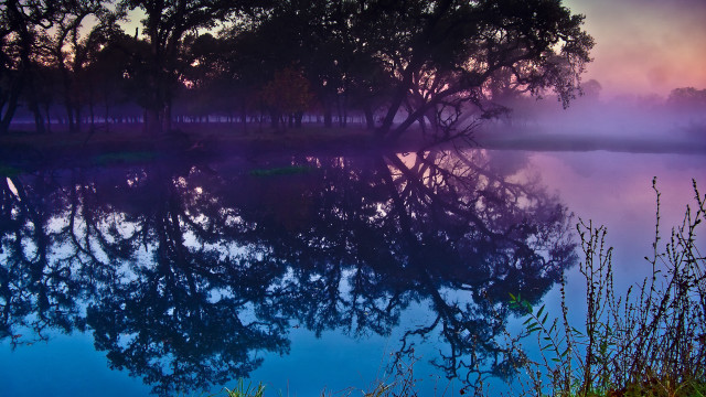 Lake trees foggy sunset autumn free wallpaper for desktop - medium preview image