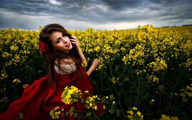 Woman red dress field yellow free wallpaper for desktop - medium preview image