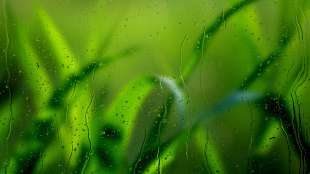 Rainy window green grass blue free wallpaper for desktop - medium preview image