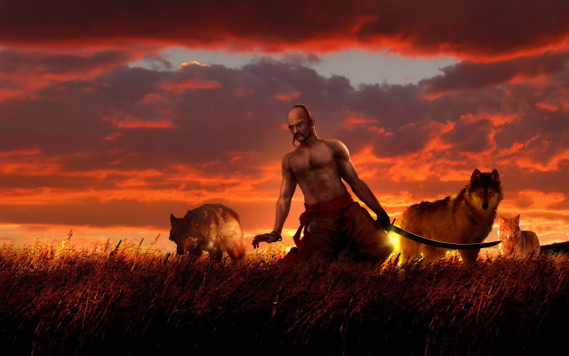 Man dog field sunset red free wallpaper for desktop - medium preview image