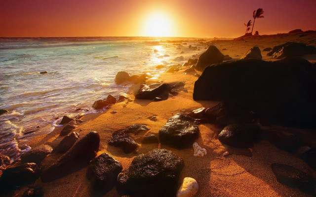 Beach rocks water sunset palm free wallpaper for desktop - medium preview image