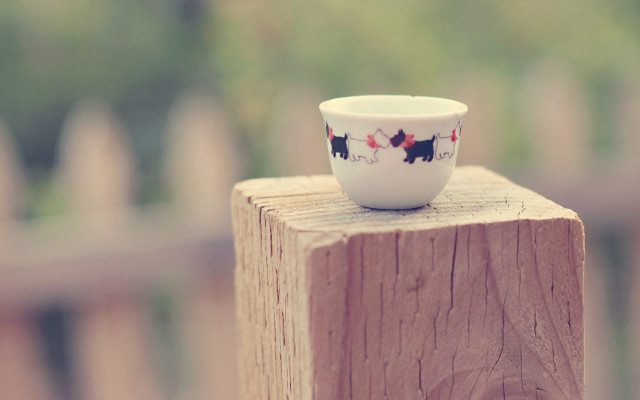 Small cup wooden post fence free wallpaper for desktop - medium preview image