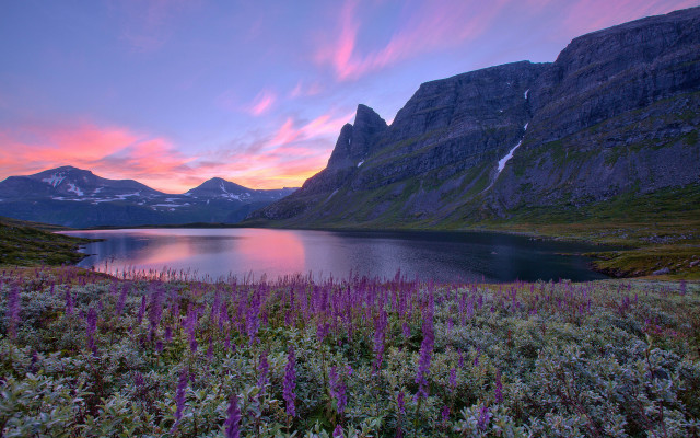 Sunset mountain lake purple flowers free wallpaper for desktop - medium preview image