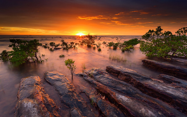 Sunset water rocks trees bushes free wallpaper for desktop - medium preview image