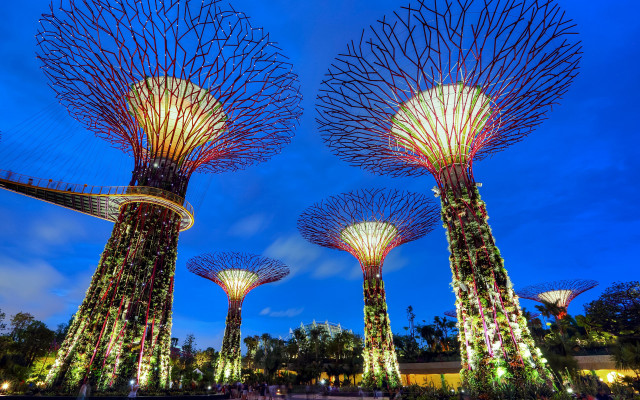 Lit trees night lights clouds free wallpaper for desktop - medium preview image