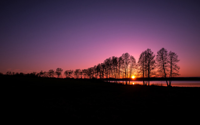 Sunset trees water purple sky free wallpaper for desktop - medium preview image