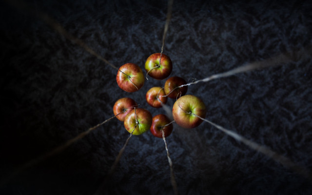 Apples table dark stick macro free wallpaper for desktop - medium preview image