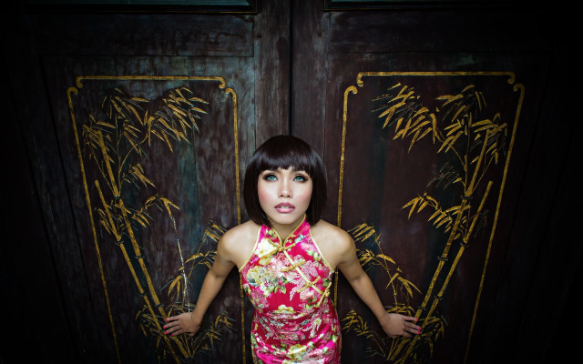 Pink dress bamboo door portrait free wallpaper for desktop - medium preview image