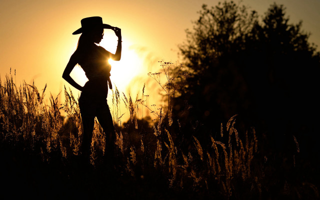 Woman field hat sunset trees free wallpaper for desktop - medium preview image