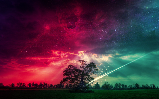 Colorful sky tree shooting star free wallpaper for desktop - medium preview image