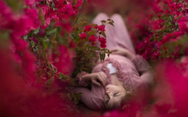 Woman flower field cellphone bottle free wallpaper for desktop - medium preview image