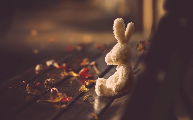 Stuffed animal bench leaves flowers free wallpaper for desktop - medium preview image