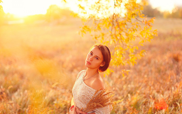 Woman tallgrass tree sunbeam autumn free wallpaper for desktop - medium preview image