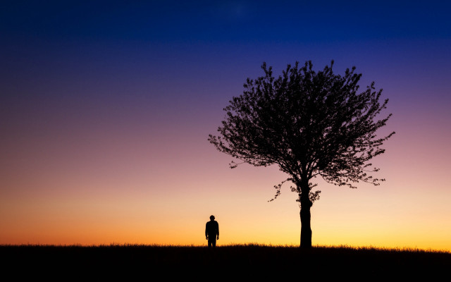 Lone man tree sunset purple free wallpaper for desktop - medium preview image