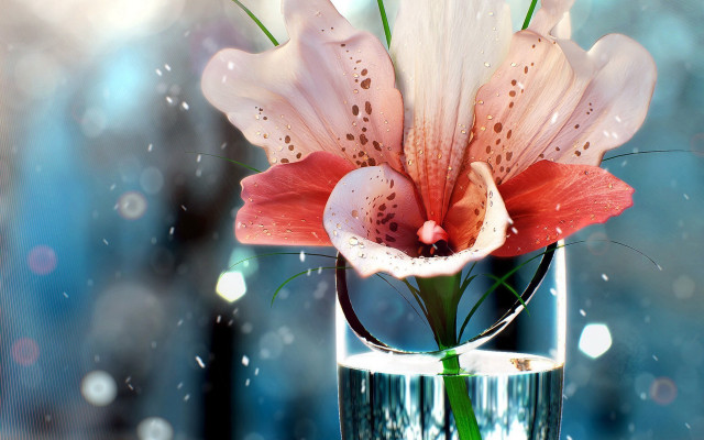 Flower vase water droplets bokeh free wallpaper for desktop - medium preview image