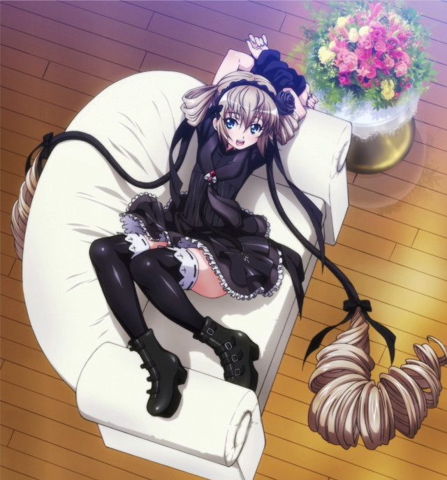 Woman chair cat vase flowers free wallpaper for tablet - medium preview image