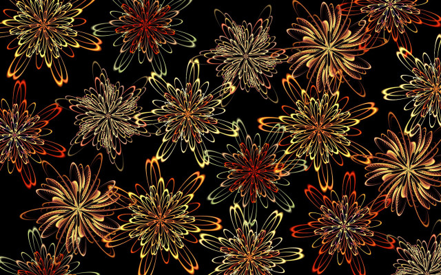 Black flowers generative art fireworks free wallpaper for desktop - medium preview image