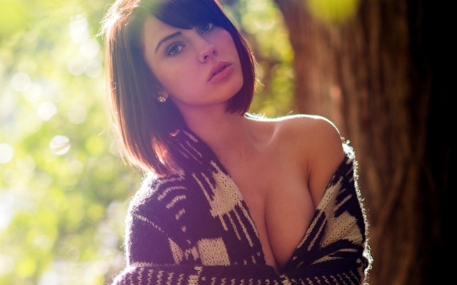 Aramenta sweater sunshine blurry bokeh free wallpaper for desktop - medium preview image
