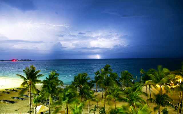 Beach palm trees lightning storm free wallpaper for desktop - medium preview image
