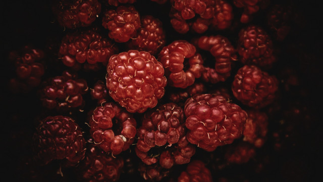Raspberries macro dark background flowers free wallpaper for desktop - medium preview image