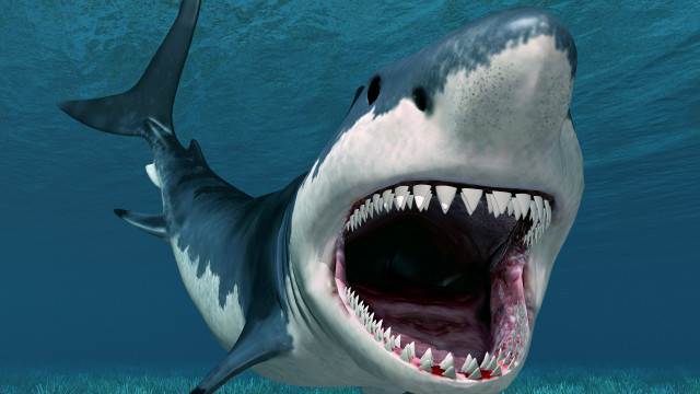 Shark open mouth photorealistic ocean free wallpaper for desktop - medium preview image