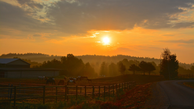 Sunset farm horses barn fence free wallpaper for desktop - medium preview image