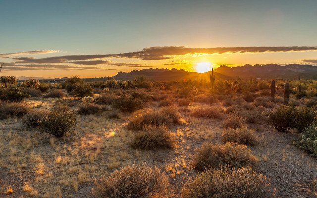 Desert sunset mountains bushes horizon free wallpaper for desktop - medium preview image