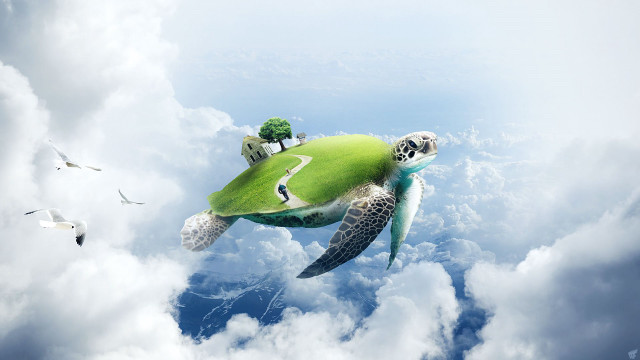 Flying turtle house tree ecological free wallpaper for desktop - medium preview image