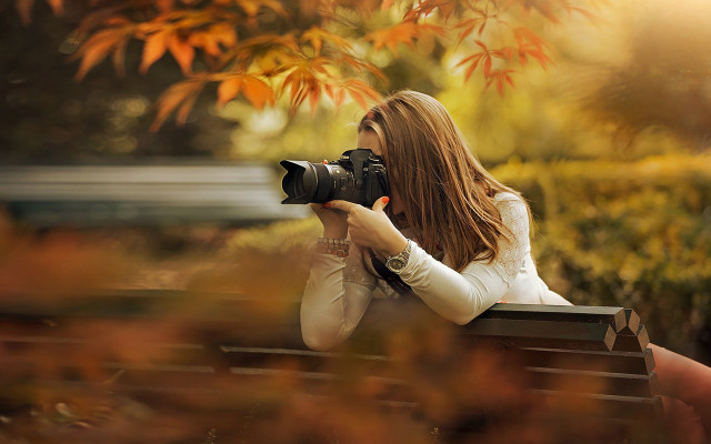 Woman autumn leaves camera blurry free wallpaper for desktop - medium preview image