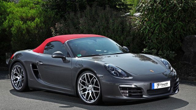 Porsche grey red top forest free wallpaper for desktop - medium preview image