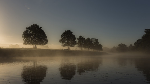 Foggy lake trees bench sunny free wallpaper for desktop - medium preview image