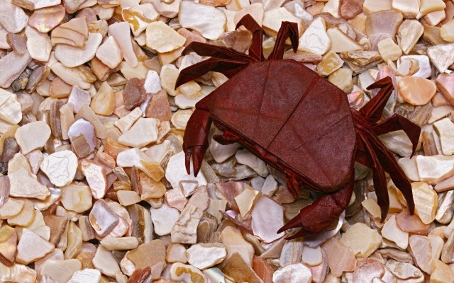 Red crab rocks gravel ecological free wallpaper for desktop - medium preview image