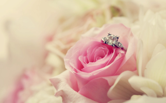 Pink rose diamond ring white free wallpaper for desktop - medium preview image