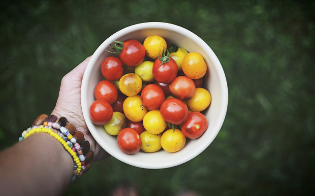 Tomato bowl hand green lawn free wallpaper for desktop - medium preview image