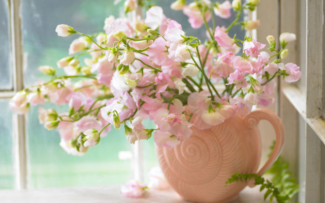 Pink vase pink white flowers free wallpaper for desktop - medium preview image