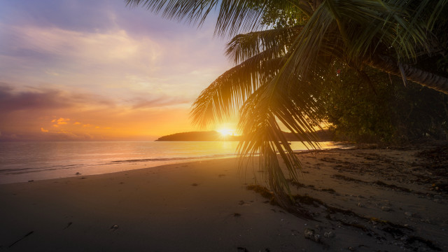 Palm tree beach sunset mountain free wallpaper for desktop - medium preview image
