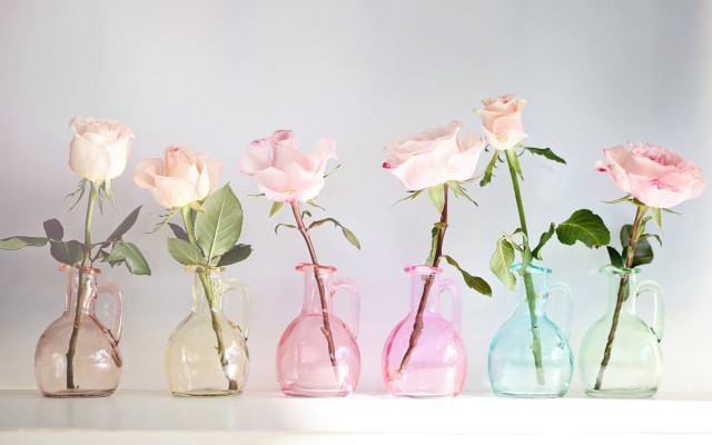 Pink white roses vases shelf free wallpaper for desktop - medium preview image
