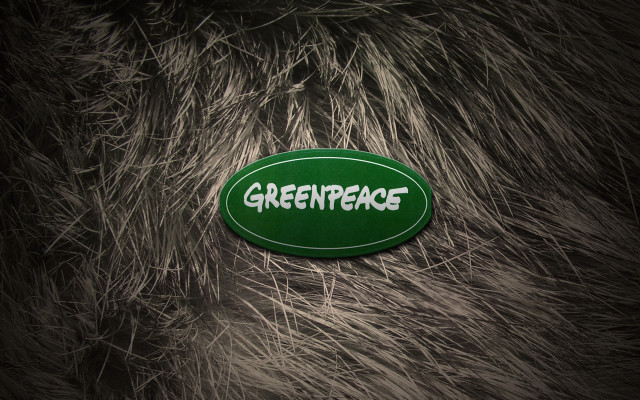 Greenpeace sticker furry animal nature #2 free wallpaper for desktop - medium preview image