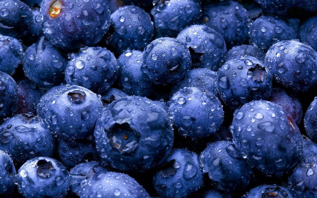 Blueberries water droplets yellow eye free wallpaper for desktop - medium preview image