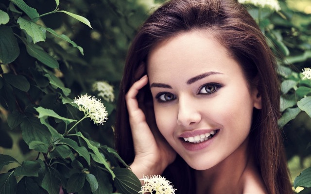 Woman blue eyes bush white free wallpaper for desktop - medium preview image