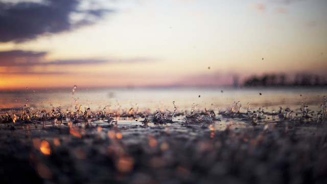 Sunset water drops trees bokeh free wallpaper for desktop - medium preview image