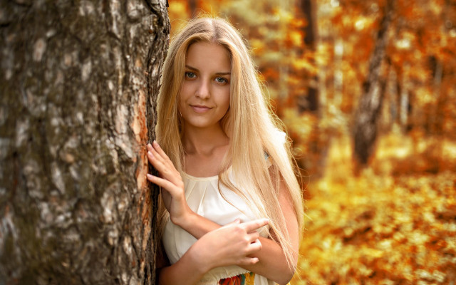 Woman tree woods autumn blonde free wallpaper for desktop - medium preview image