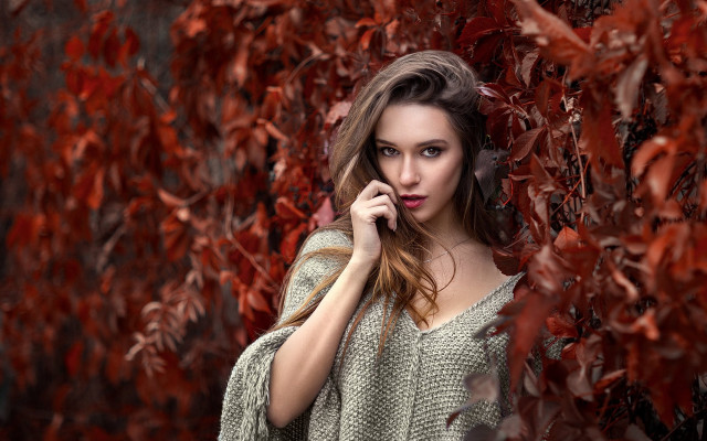 Woman autumn leaves cellphone purse free wallpaper for desktop - medium preview image